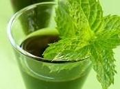 Liquore alla menta
