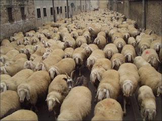 Sull'impossibilità di diffusione della Solitudine.