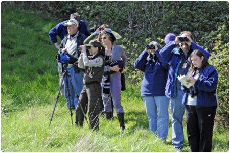 Agriturismi per birdwatching. Foto CC dal flickr di USFWS Pacific