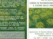 Erbe sponatanee, impariamo conoscerle, mangiarle, cucinarle