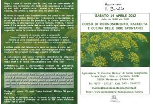 Erbe sponatanee, impariamo a conoscerle, mangiarle, cucinarle