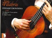 Guitars Speak: Stefano Grondona Palabras