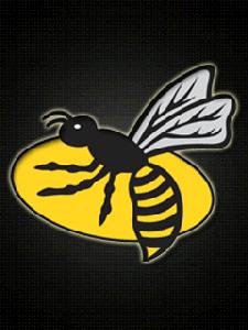 Wasps senza soldi, le Vespe hanno l’acqua alla gola