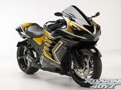 Kawasaki ZX-14 (ZZR 1400) 2012 Roaring Toyz