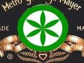 Recensione all’ultimo remake “Incompetenza corruzione” della P.I.E (Political Interactive Entertainment)