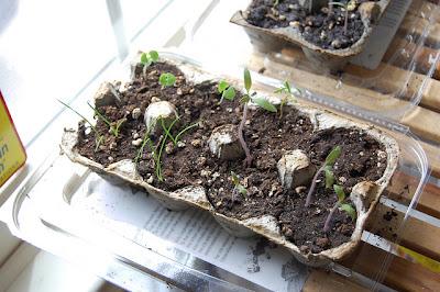 IMPARIAMO A SEMINARE