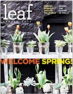 Leaf Magazine è una nuova rivista online