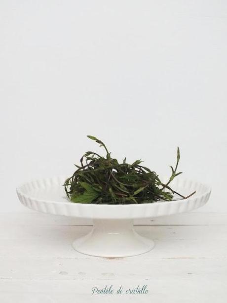 Frittata di Humulus lupulus, o come lo chiamiamo noi Luvertin