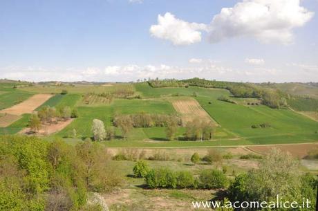 Cronache di Pasqua