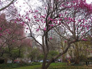 DanaGardenGuide New York _City Hall Park