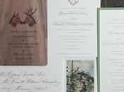 Theme Green Undergrowth