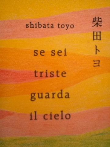 Il cielo di Shibata Toyo