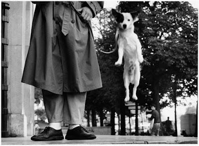 Elliott Erwitt