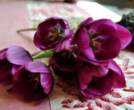 The season of tulips.