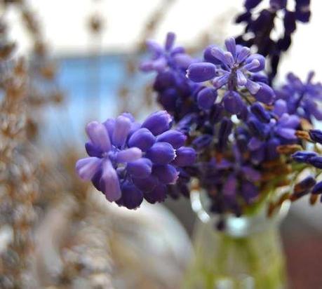 The season of tulips.