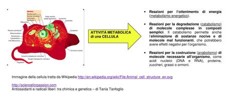 Il colore rosso