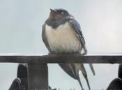 APRILE arriva Lucy portando pioggia freddo