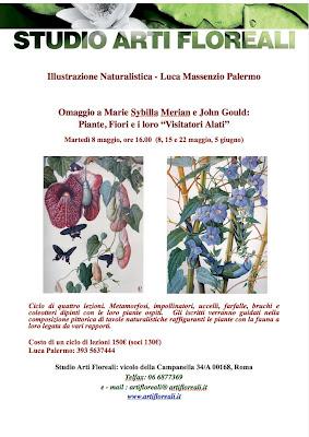 Arte Botanica - Lezioni di L. Massenzio Palermo - Omaggio a  M. Sybilla Meriane J. Gould