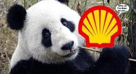 wwf-shell