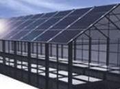 Serre fotovoltaiche Narbolia Aggiornamento invito comitato “S’Arrieddu Narbolia”