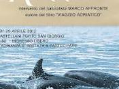 nostra petrolmap giro l'Italia!