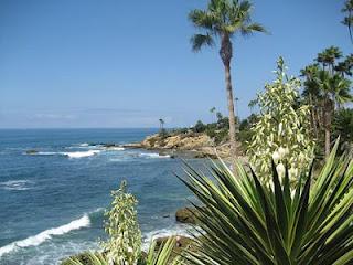 p229417-Laguna_Beach-Blue_California.jpg