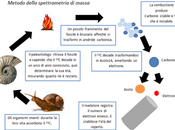 strumenti dello storico: datazione Carbonio14