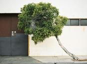 Pensieri Soprappensieri N.Losito