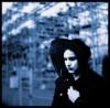 musica,video,jack white,video jack white,shearwater,video shearwater,my best fiend,video my best fiend,the electric diorama,video the electric diorama,artisti emergenti