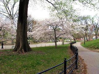 DanaGardenGuide New York _ Central Park