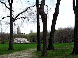 DanaGardenGuide New York _ Central Park