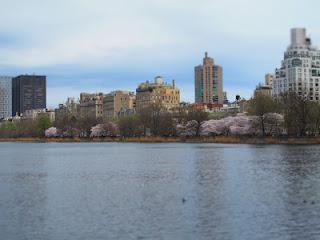 DanaGardenGuide New York _ Central Park