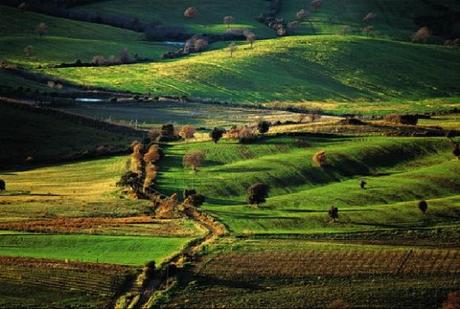 Sposerò un toscano