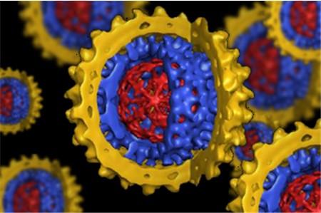 Lotta all’Epatite C: passi avanti. Nuova Terapia con azione diretta sul virus