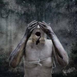 Chi comanda a questo mondo? [XI]