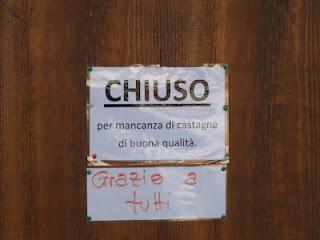 Ingenuo o copywriter?