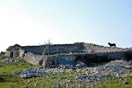 Trekking sul Gargano: la Valle di Vituro a San Marco in Lamis