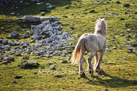 Trekking sul Gargano: la Valle di Vituro a San Marco in Lamis