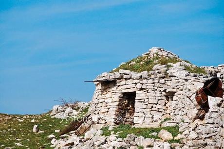 Trekking sul Gargano: la Valle di Vituro a San Marco in Lamis