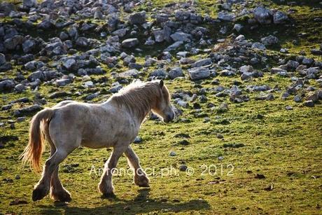 Trekking sul Gargano: la Valle di Vituro a San Marco in Lamis