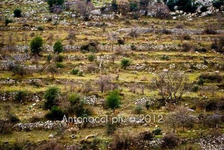 Trekking sul Gargano: la Valle di Vituro a San Marco in Lamis