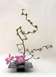 Composizioni floreali: L'Ikebana