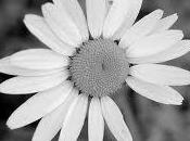 L'inquietante fascino dell'imperfezione.