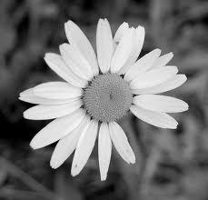 L'inquietante fascino dell'imperfezione.