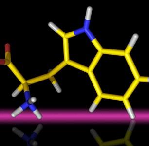 Amino acid tryptophan: A scientists suggests that a tiny 'tweak' to such acids could mean life on other worlds evolved very differently 