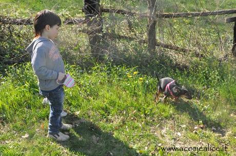 Una giornata ” Eccezzziunale veramente ” !