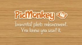 PicMonkey - Logo