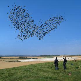 Storm Thorgerson - Art Gallery