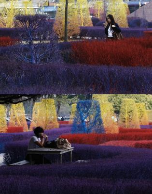 Colori per abbellire il campus