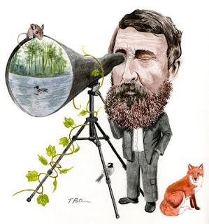 L'immaginazione intontita dalla velocità.